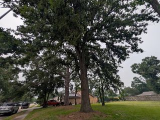 10525 Moorberry Lane, Houston, TX 77043