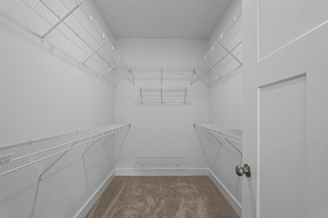 1429 Bellingham Drive, Beech Island, SC 29842