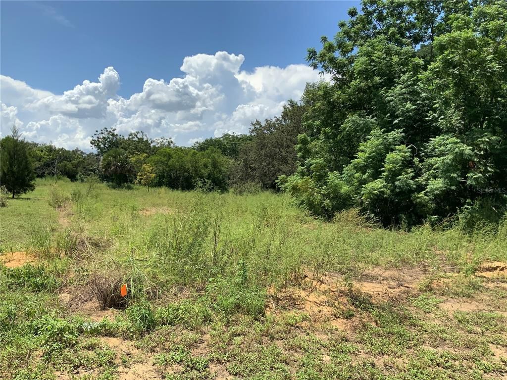 000 FRUITWOOD AVENUE, Eustis, FL 32726