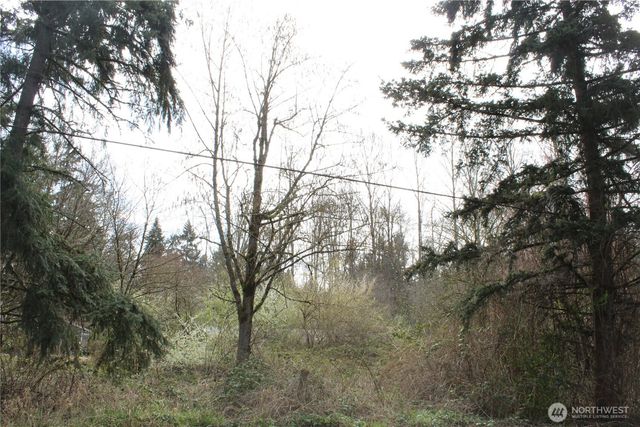 0 121 Street E, Tacoma, WA 98445