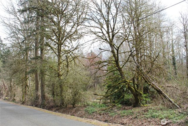 0 121 Street E, Tacoma, WA 98445