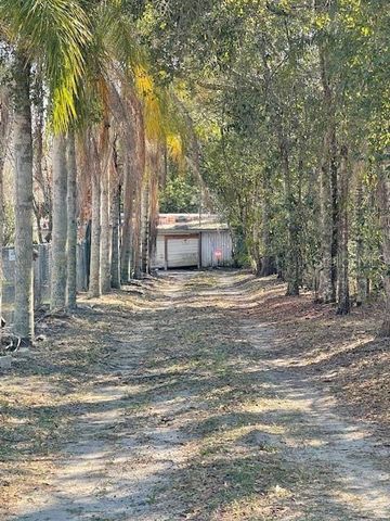 7439 MOTT AVENUE, Orlando, FL 32810