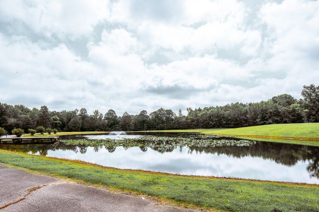 3375 Rowland Mill Rd, Buena Vista, TN 38318