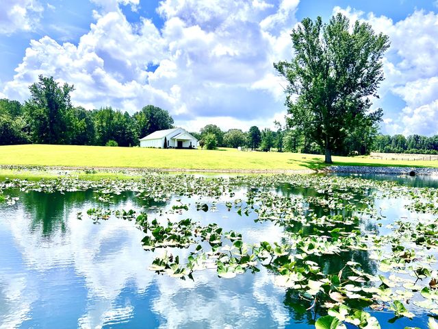 3375 Rowland Mill Rd, Buena Vista, TN 38318