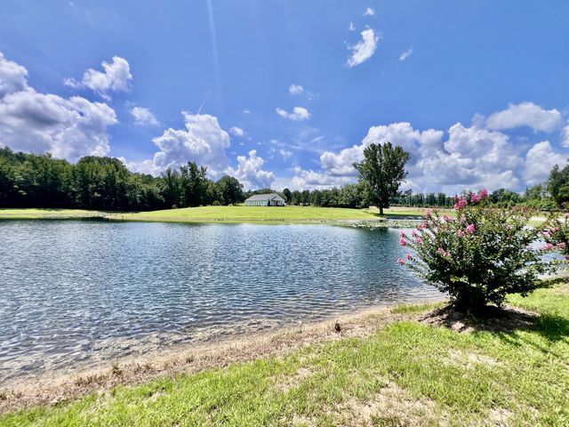 3375 Rowland Mill Rd, Buena Vista, TN 38318