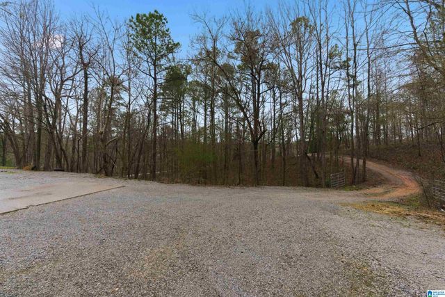 105 HIGH HAMPTON DRIVE, Pelham, AL 35124