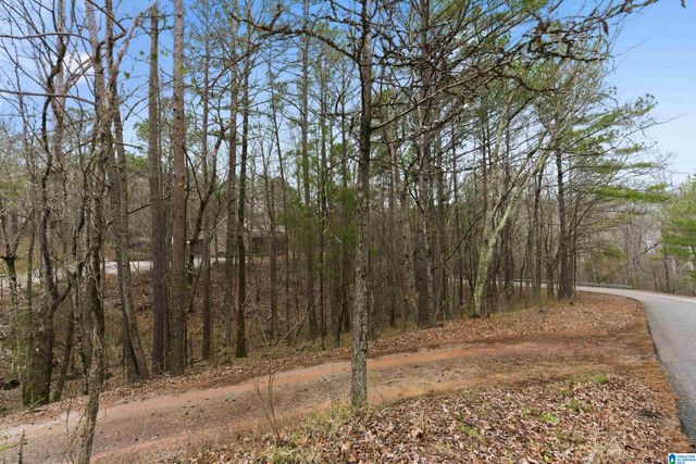 105 HIGH HAMPTON DRIVE, Pelham, AL 35124