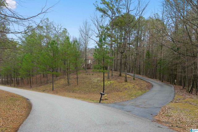 105 HIGH HAMPTON DRIVE, Pelham, AL 35124