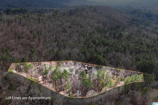 105 HIGH HAMPTON DRIVE, Pelham, AL 35124