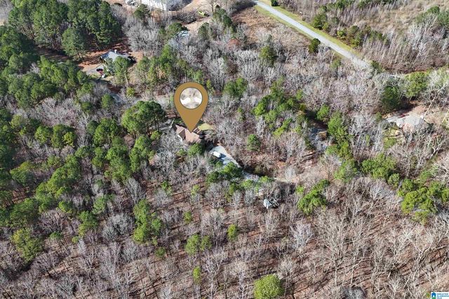 105 HIGH HAMPTON DRIVE, Pelham, AL 35124