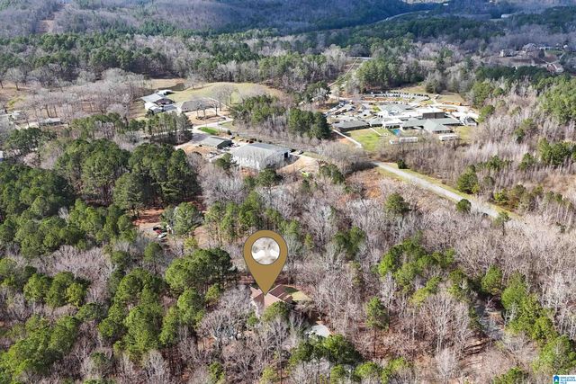 105 HIGH HAMPTON DRIVE, Pelham, AL 35124