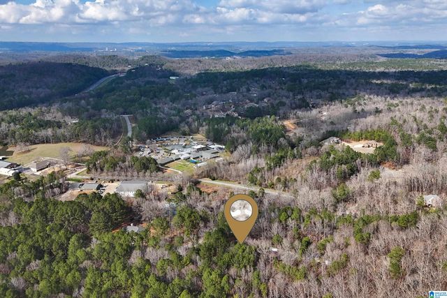 105 HIGH HAMPTON DRIVE, Pelham, AL 35124