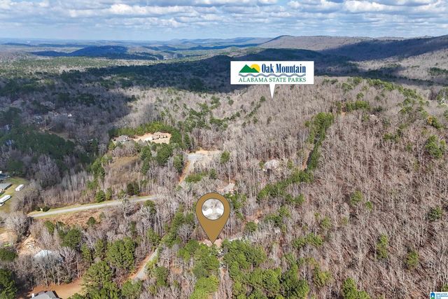 105 HIGH HAMPTON DRIVE, Pelham, AL 35124