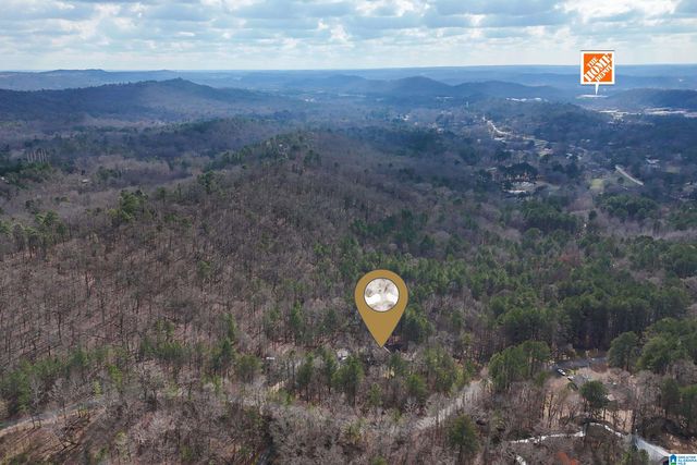 105 HIGH HAMPTON DRIVE, Pelham, AL 35124