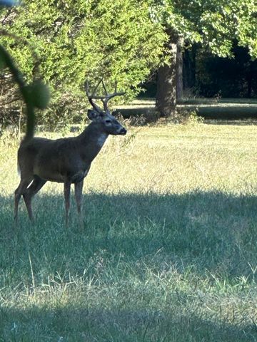 5644 S Winsor Drive, Battlefield, MO 65619