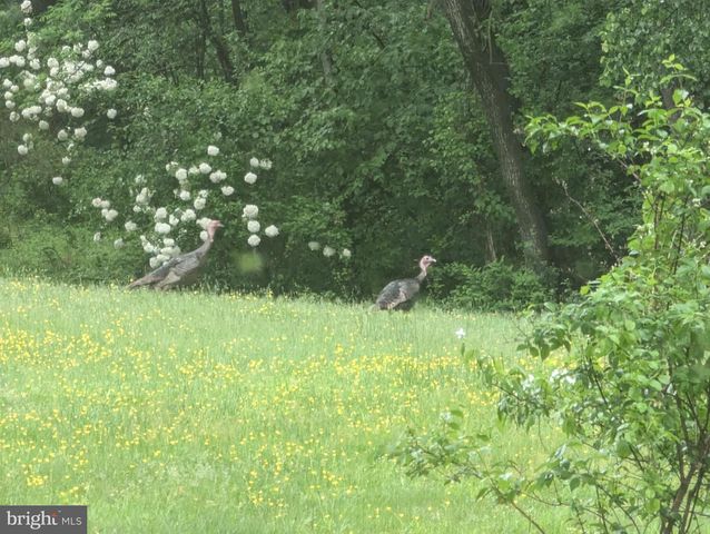 14612 FAIRACRES RD, Silver Spring, MD 20905