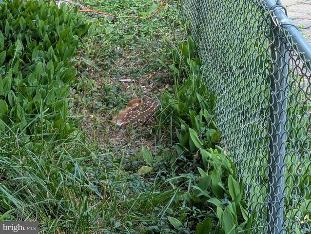 14612 FAIRACRES RD, Silver Spring, MD 20905