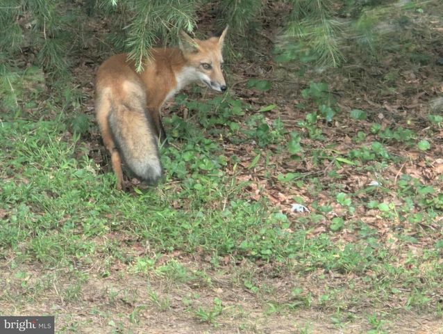 14612 FAIRACRES RD, Silver Spring, MD 20905