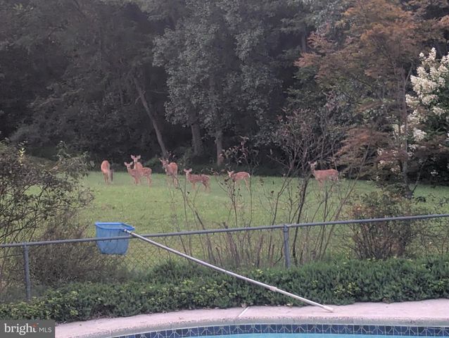 14612 FAIRACRES RD, Silver Spring, MD 20905