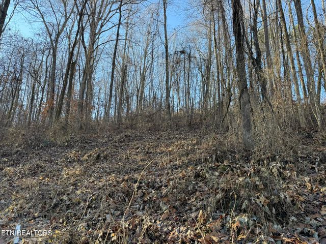 S Marlowe Lane, Speedwell, TN 37870