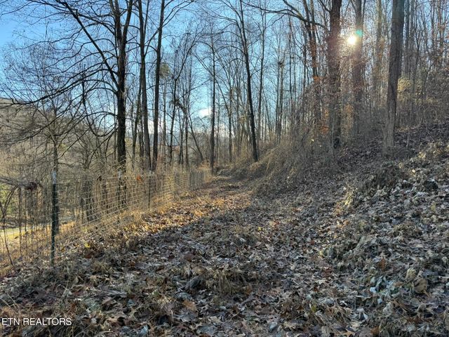 S Marlowe Lane, Speedwell, TN 37870