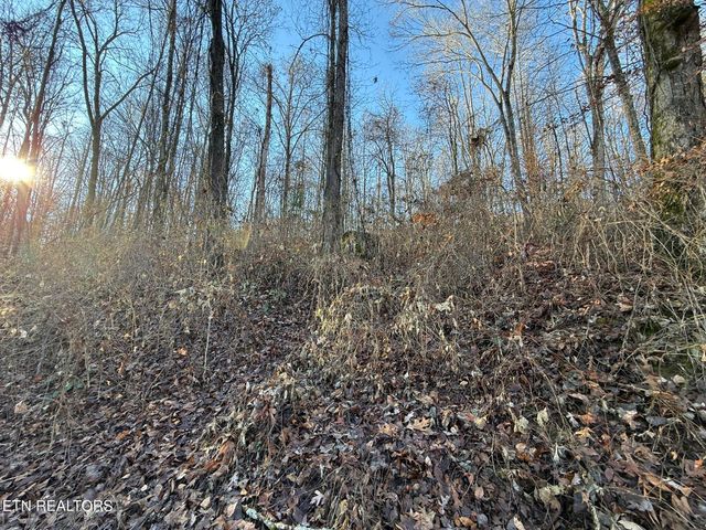 S Marlowe Lane, Speedwell, TN 37870