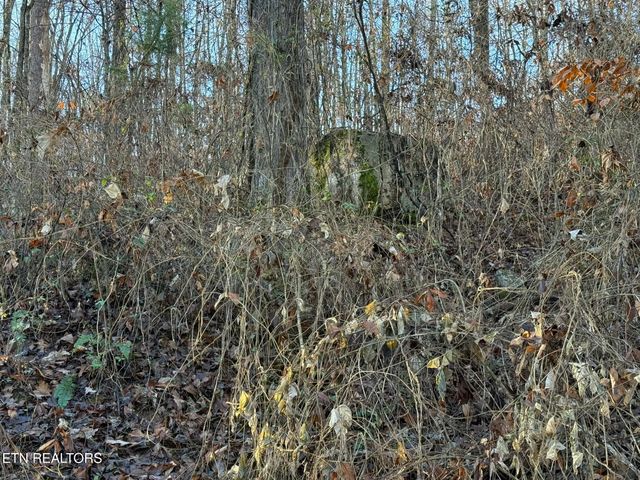 S Marlowe Lane, Speedwell, TN 37870