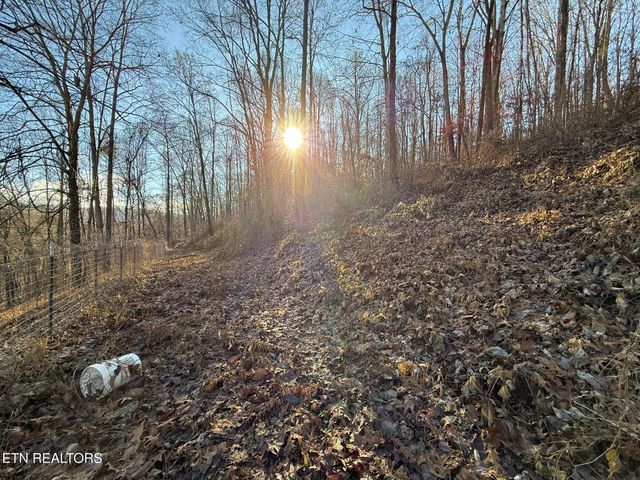 S Marlowe Lane, Speedwell, TN 37870