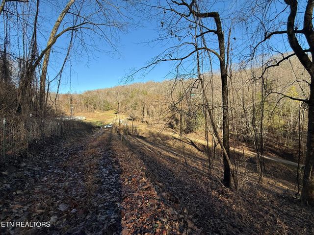 S Marlowe Lane, Speedwell, TN 37870