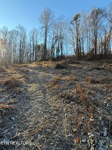 S Marlowe Lane, Speedwell, TN 37870