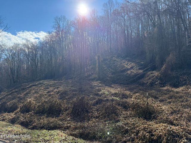 S Marlowe Lane, Speedwell, TN 37870