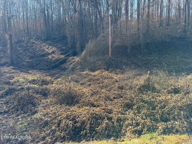 S Marlowe Lane, Speedwell, TN 37870