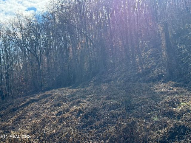 S Marlowe Lane, Speedwell, TN 37870