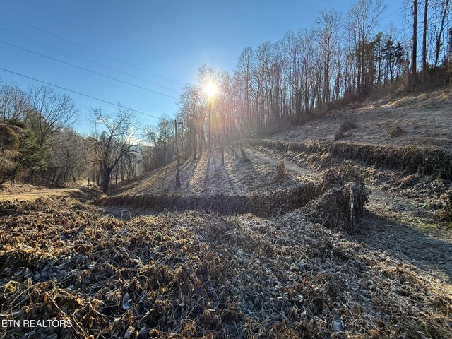 S Marlowe Lane, Speedwell, TN 37870