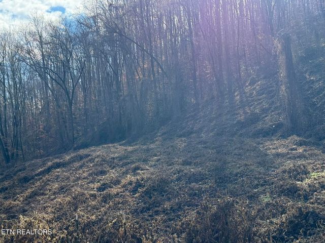 S Marlowe Lane, Speedwell, TN 37870