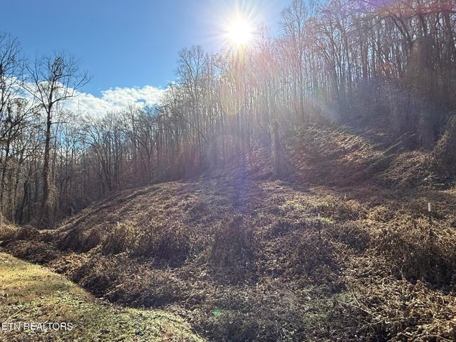 S Marlowe Lane, Speedwell, TN 37870