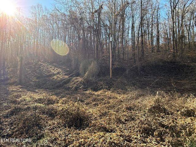 S Marlowe Lane, Speedwell, TN 37870