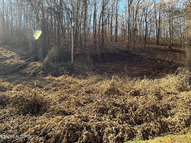 S Marlowe Lane, Speedwell, TN 37870