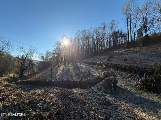 S Marlowe Lane, Speedwell, TN 37870