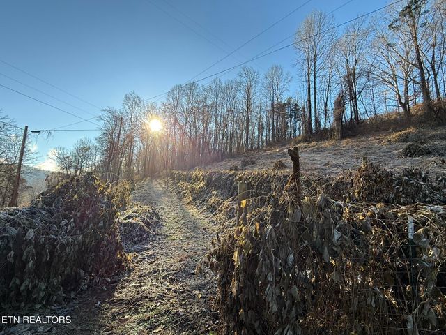 S Marlowe Lane, Speedwell, TN 37870