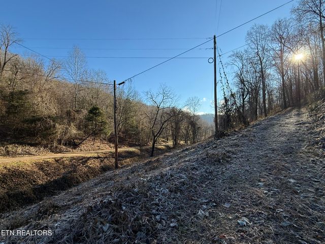 S Marlowe Lane, Speedwell, TN 37870