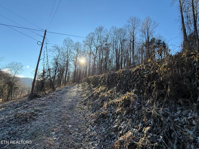 S Marlowe Lane, Speedwell, TN 37870