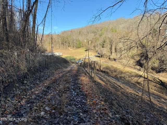 S Marlowe Lane, Speedwell, TN 37870