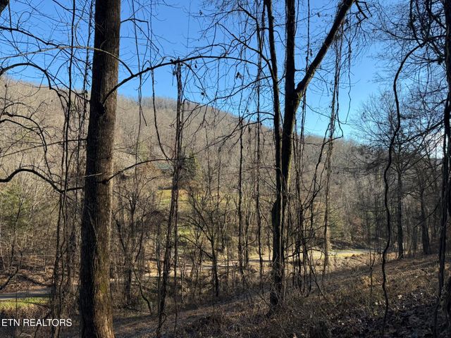 S Marlowe Lane, Speedwell, TN 37870