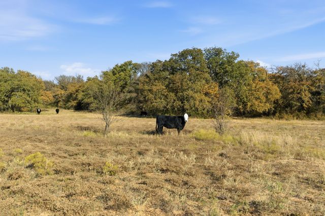 11031 Brock Highway, Lipan, TX 76462