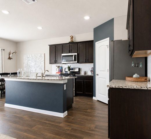 484 Spider Lily DR, Kyle, TX 78640
