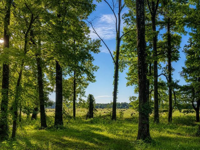 565 SCHAEFFER LOOP, Eads, TN 38028
