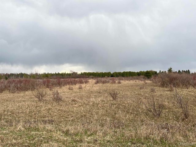 5 acres Co 513 T Road, Rapid River, MI 49878