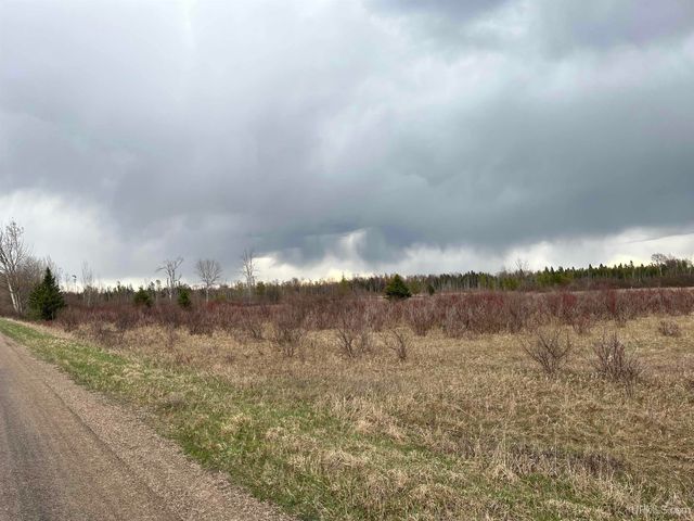 5 acres Co 513 T Road, Rapid River, MI 49878