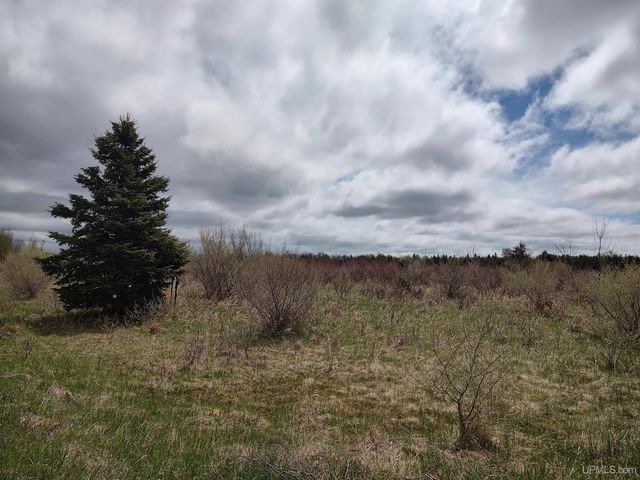 5 acres Co 513 T Road, Rapid River, MI 49878